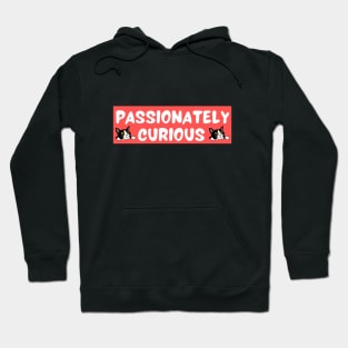 Passionately Curious Hoodie